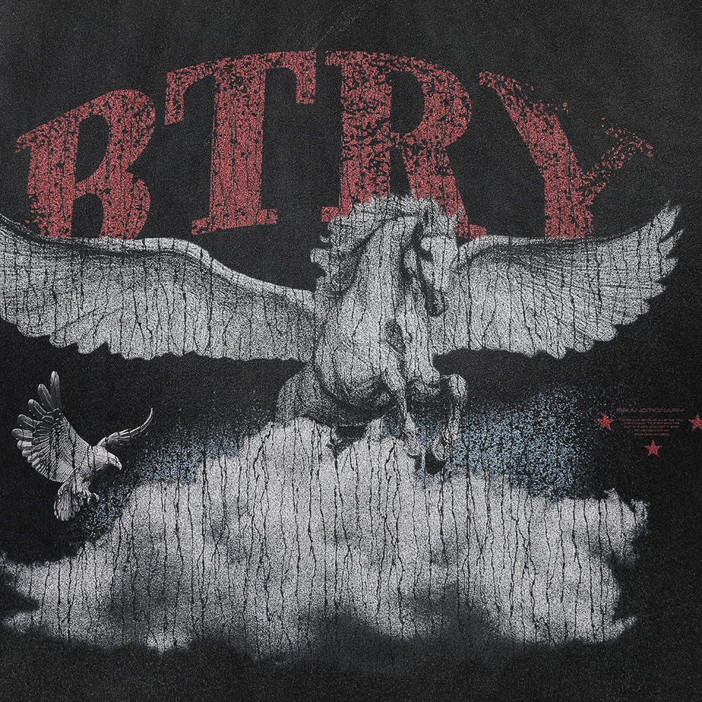 DREAM FLY!