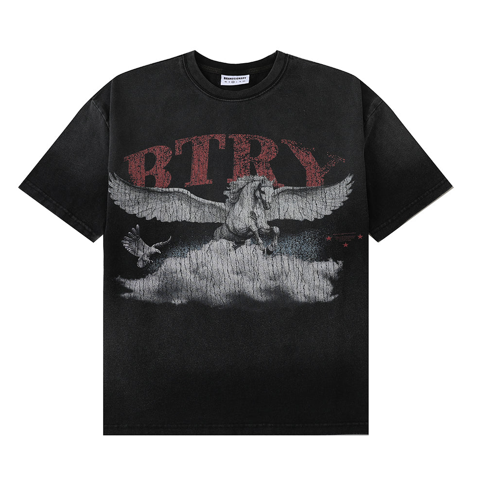 DREAM FLY!