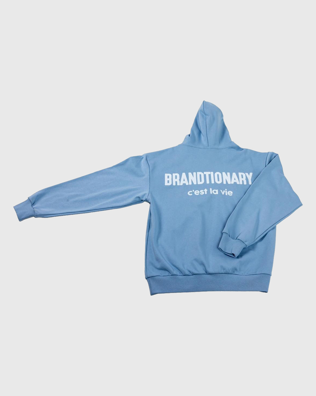 C'est La Vie Light Blue Hoodie - French Philosophy