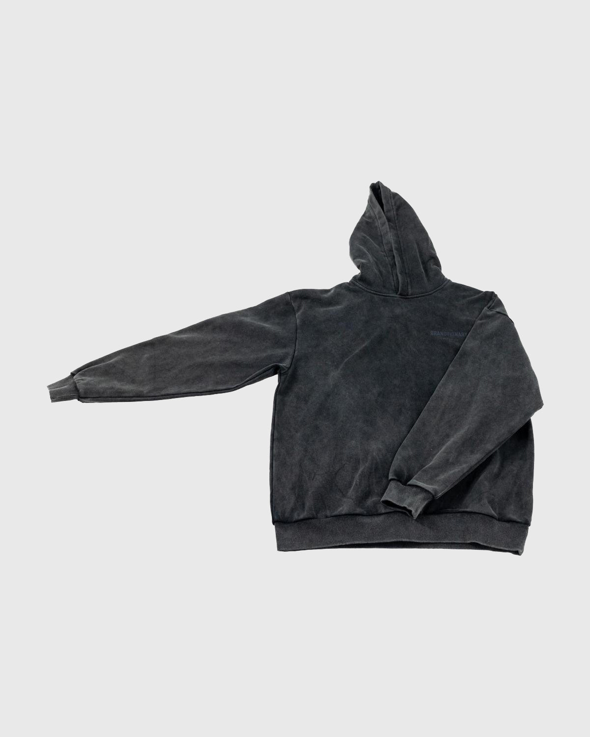 C'est La Vie Philosophy Hoodie - Washed